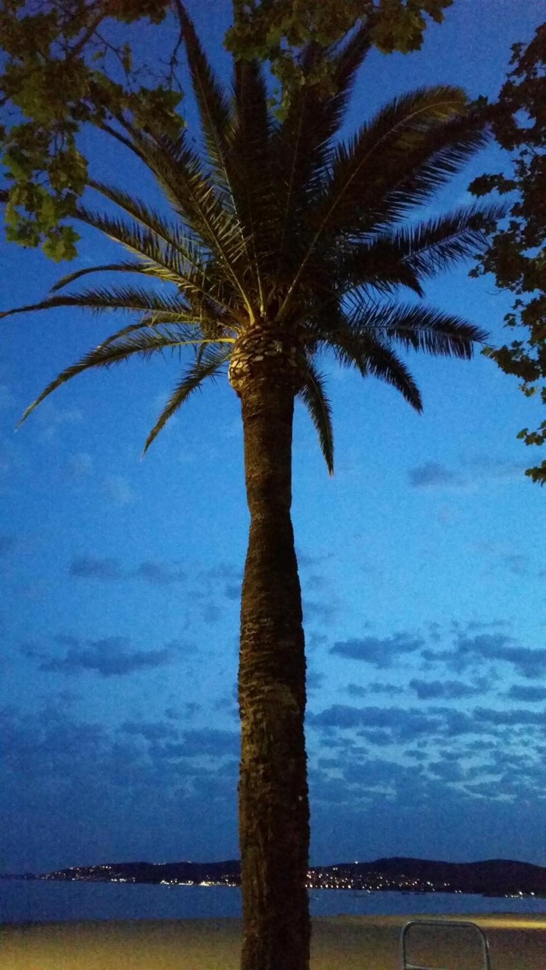 Sublime Vue Mer,Parking,Wifi Fréjus Εξωτερικό φωτογραφία